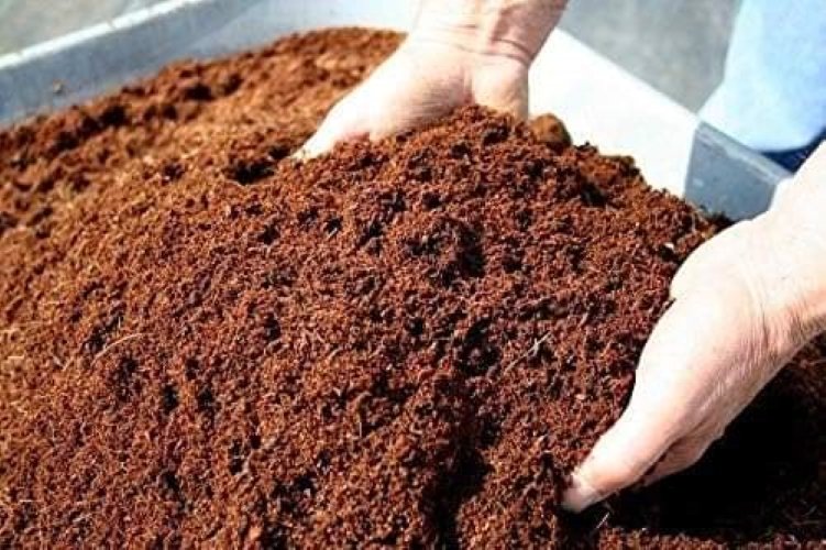 COCOPEAT & COIR ITEMS