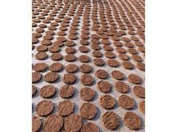 Cow Dung Cake